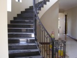 Wrought Iron Handrails & Balustrades